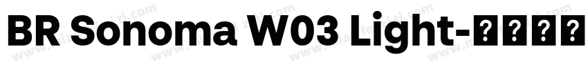 BR Sonoma W03 Light字体转换